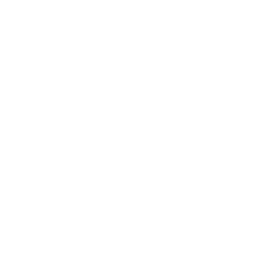 Armor Express