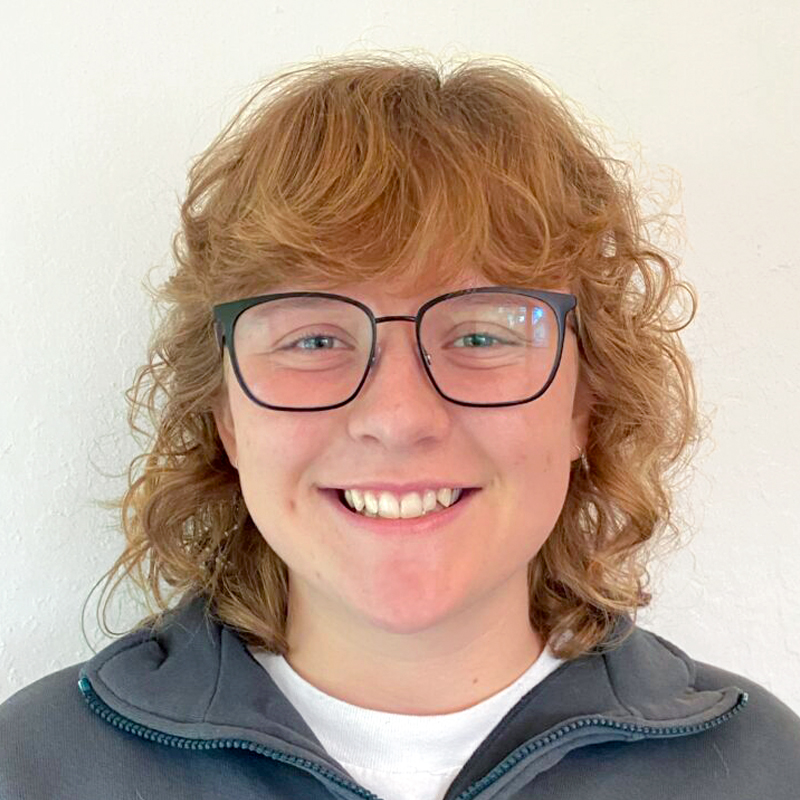 Linkedin Icon
