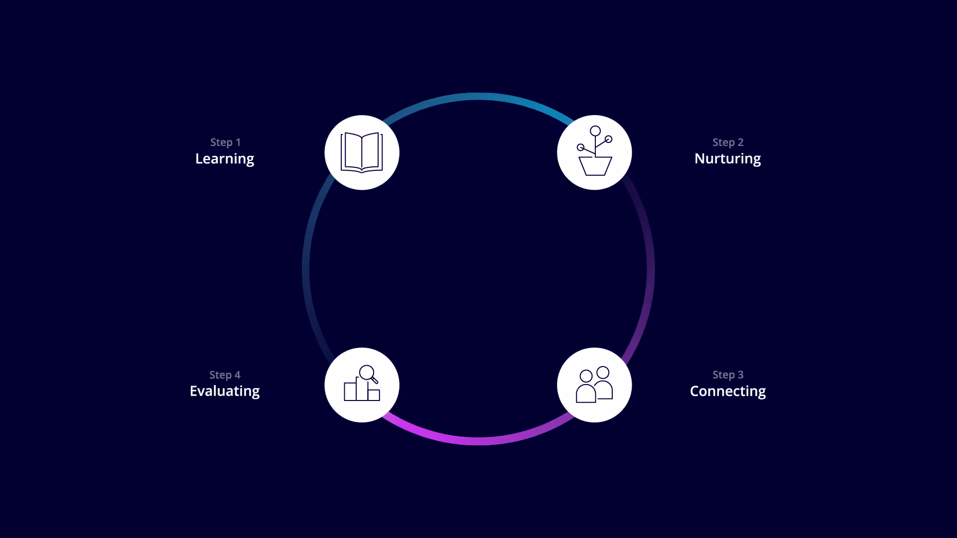 A diagram showing the steps of IIRIS. From Learning to Nurturing to Connecting and final to Evaluating