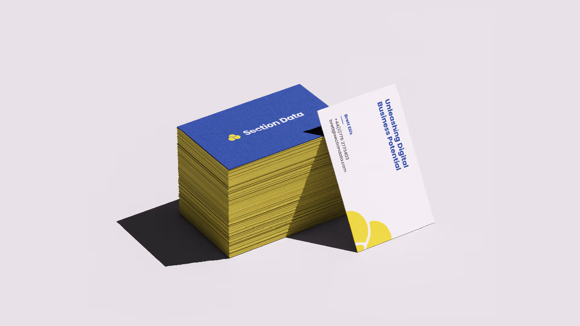 Section Data business cards in a pile, front and back are visible. The front is white, whilst the back is blue and it holds the logo centrally.