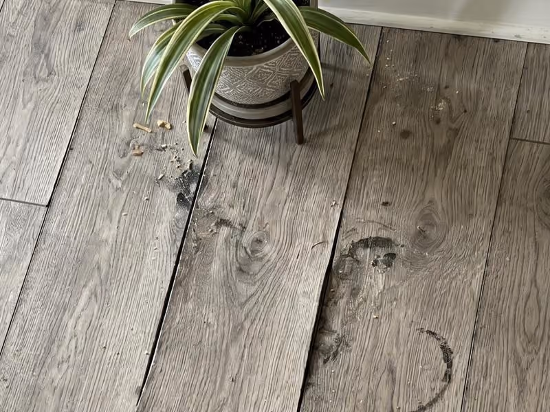 Wood floor with black smudges and warped boards near a potted plant on a wooden stand.