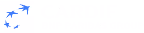 Logo de Cardif, société proposant des investissements en assurance-vie et PER avec qui travaille le cabinet ALAIA Patrimoine, cabinet de gestion de fortune à Bordeaux. 