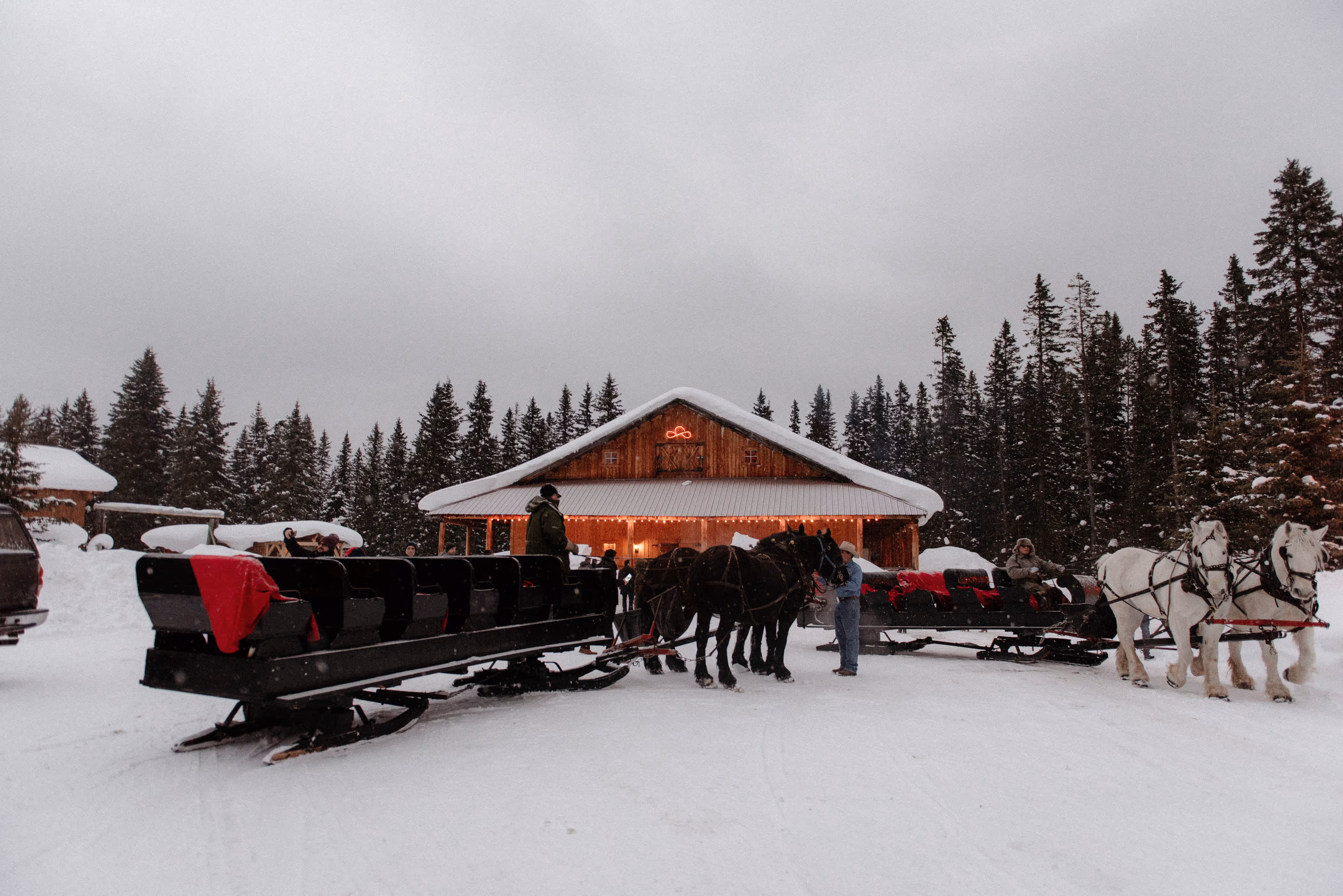 horse sleigh experiential event designed by TK Events