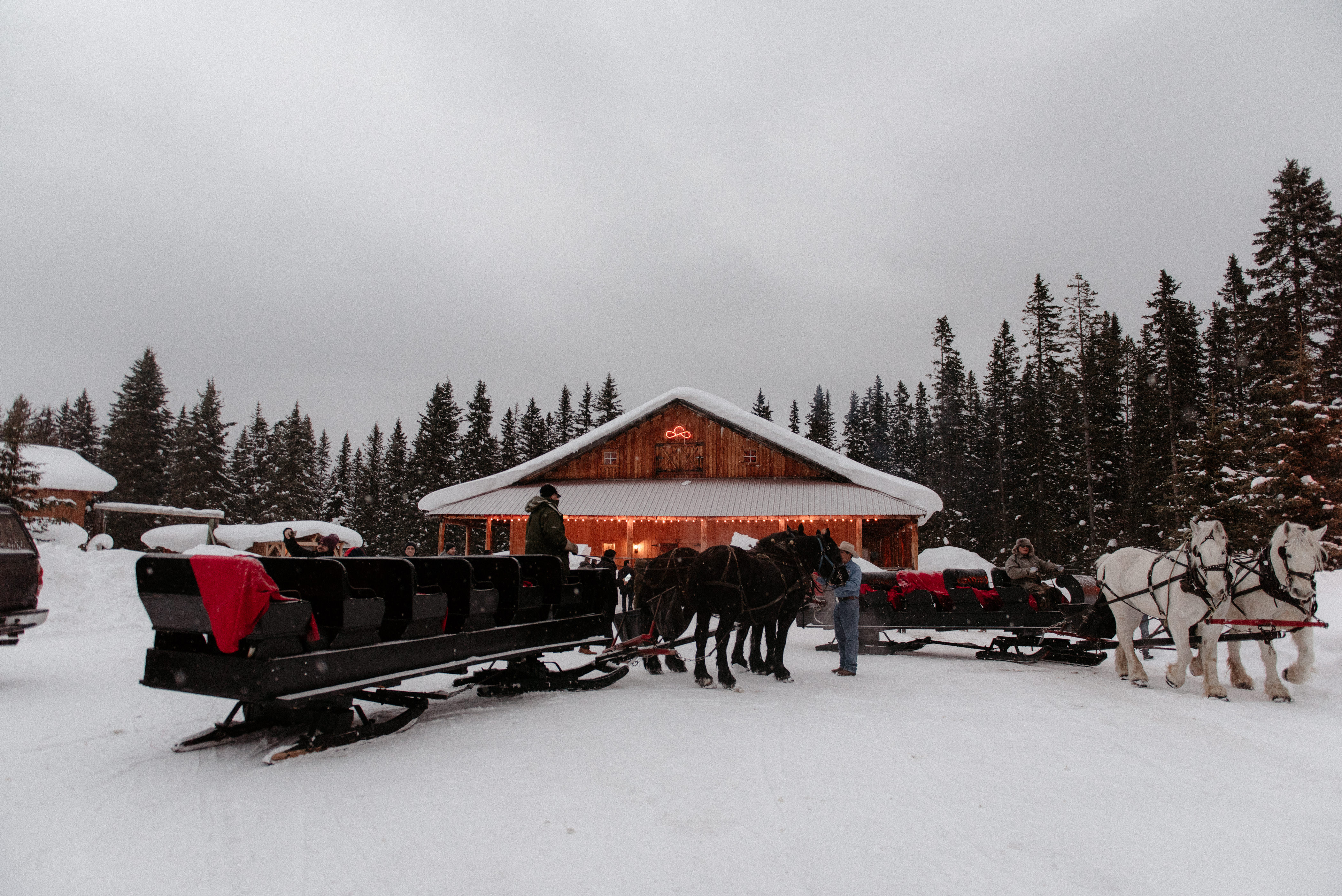 Two horse-drawn sleighs with passengers in a snowy area in front of a wooden cabin surrounded by pine trees.
