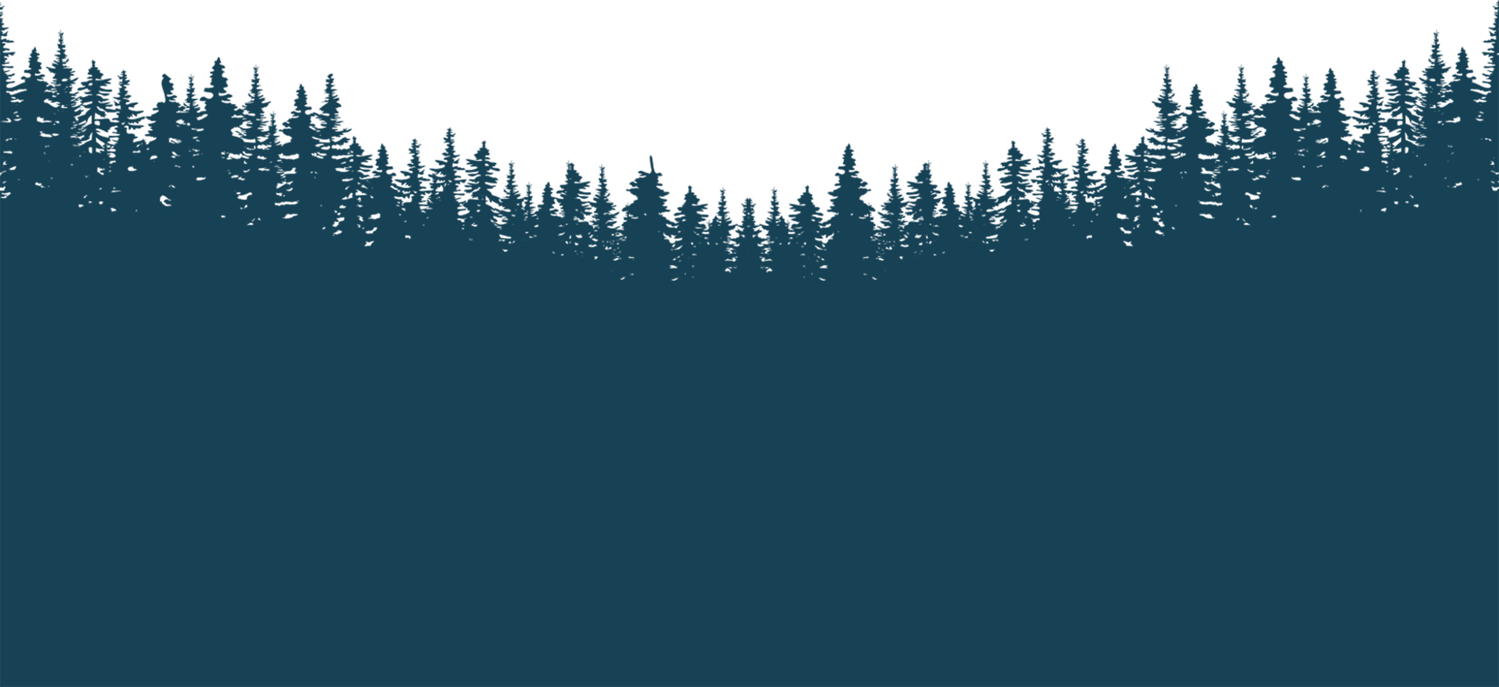 Silhouette of dense pine tree forest with jagged tops against a transparent background.