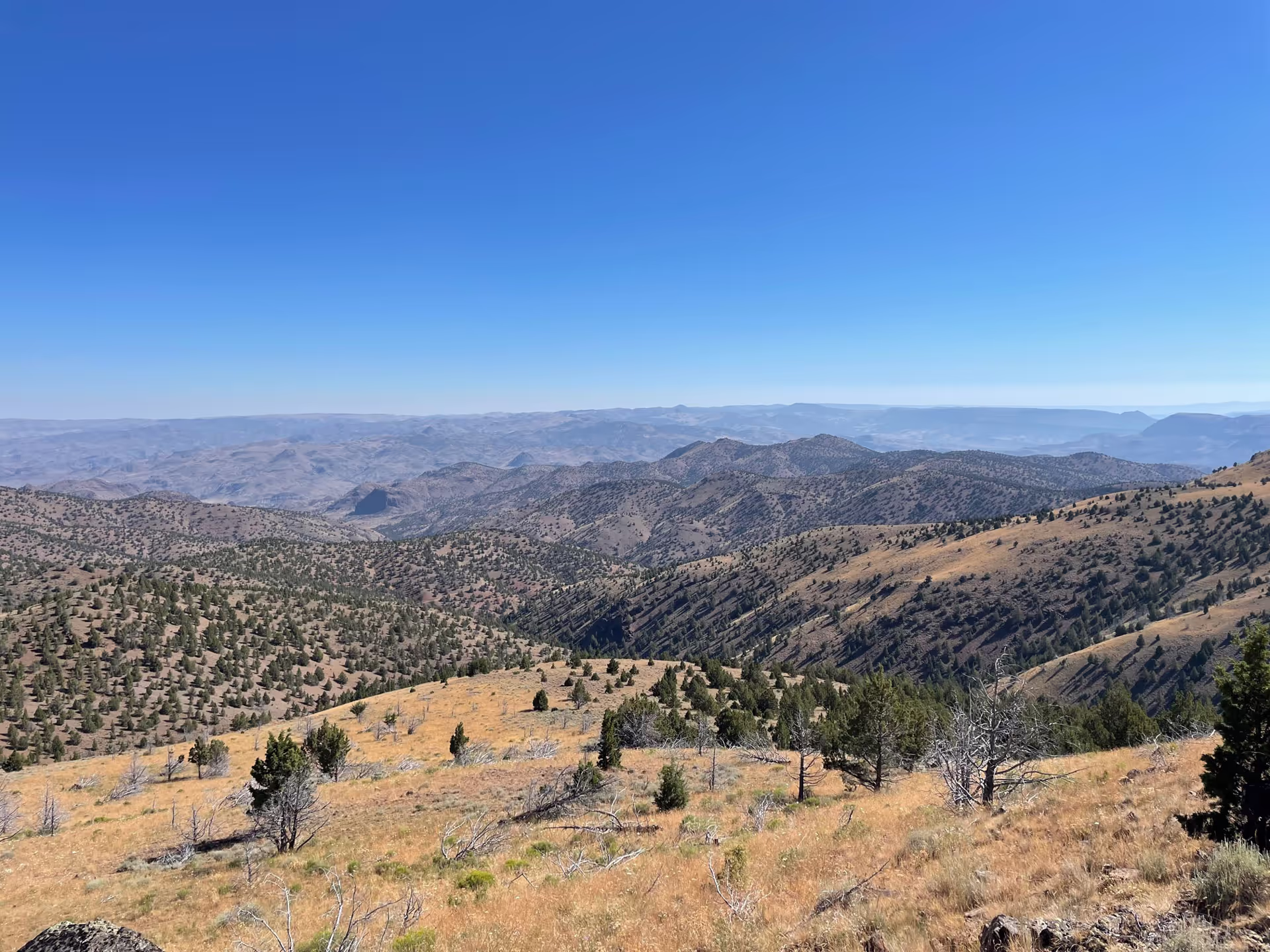 Stephenson Mountain