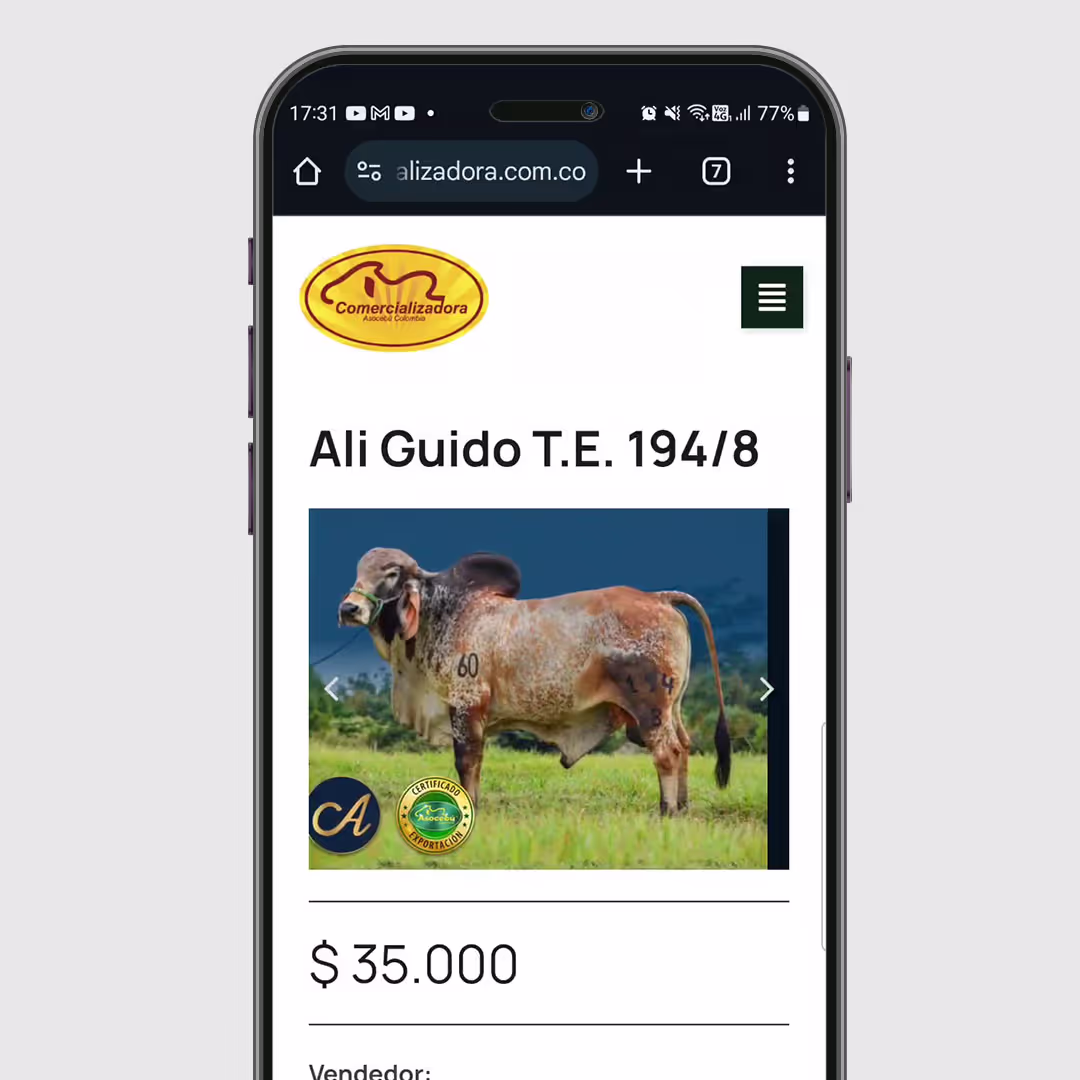 Smartphone screen showing a cattle sale listing for a bull named Ali Guido T.E. 194/8.