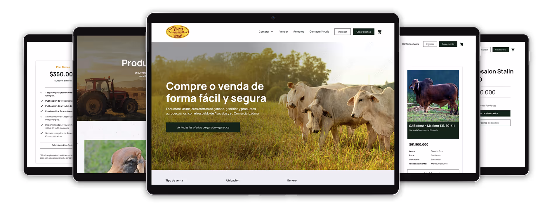 Website mockup showing a cattle trading platform with images of cows, pricing, and options to buy or sell livestock.
