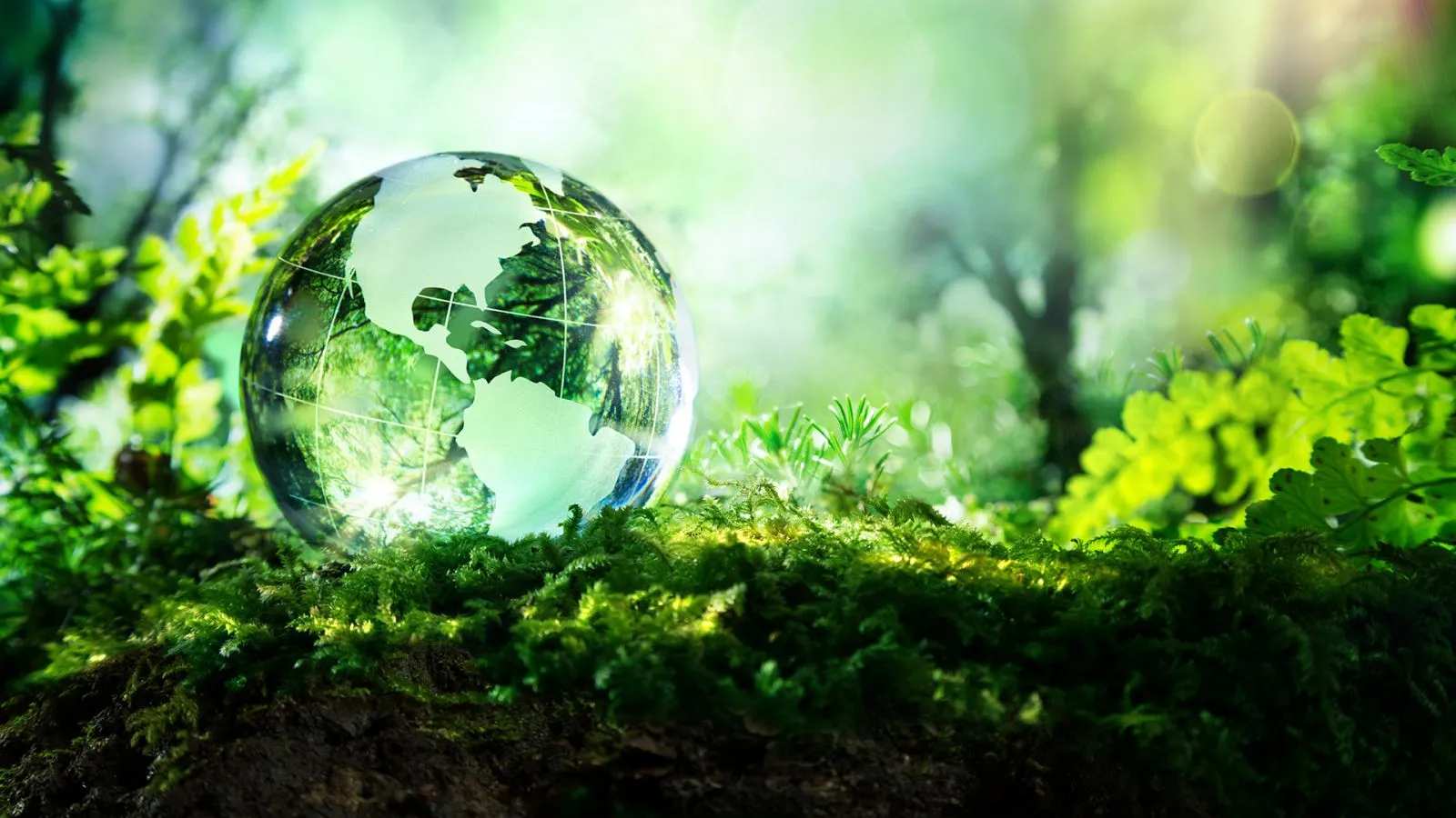 Зеленая энергетика: реальные возможности и скрытые ограничения  - фото 4