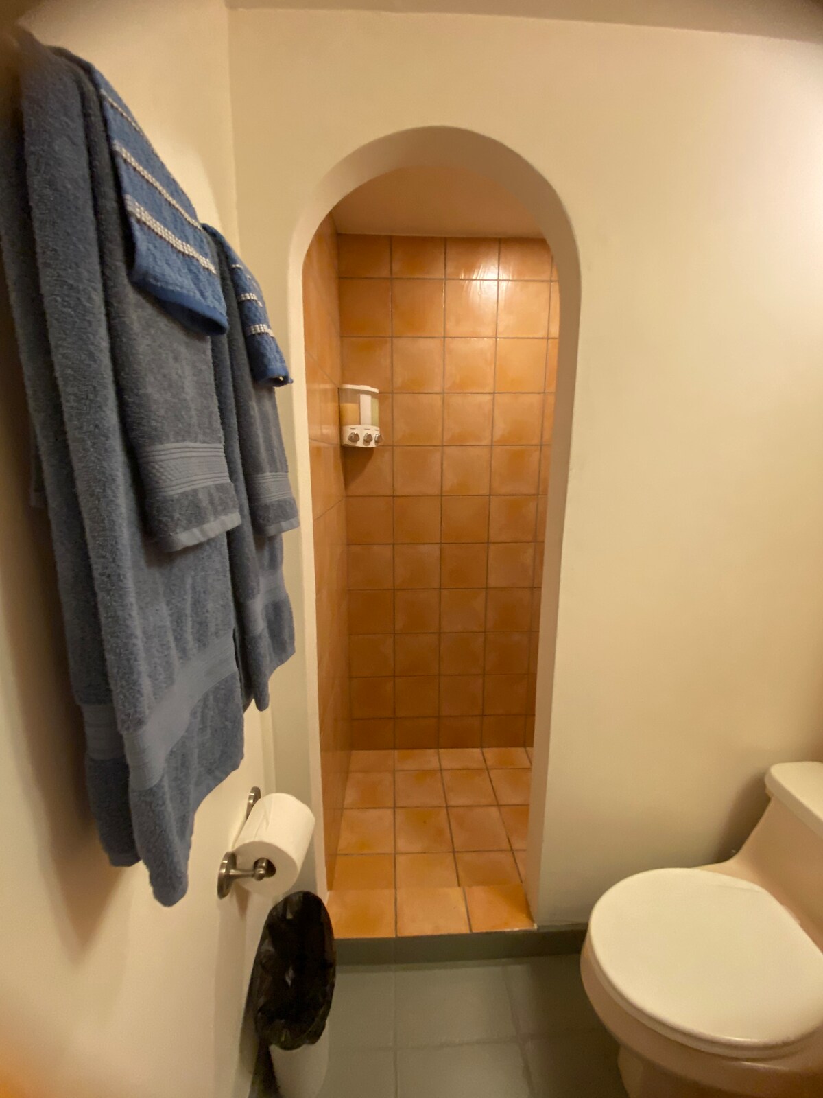 Walk-in shower with fresh towels