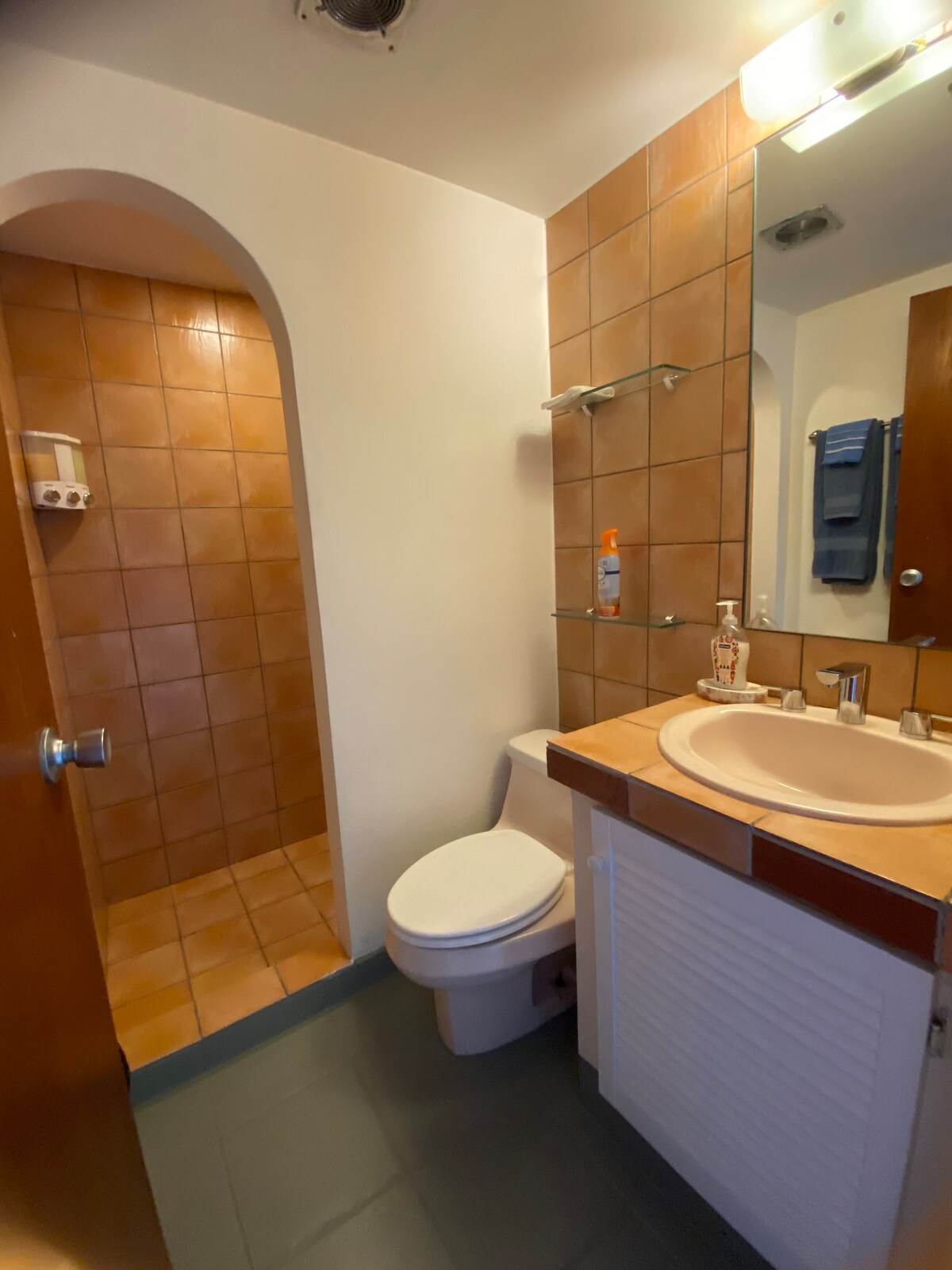 Bathroom with warm tile and vanity