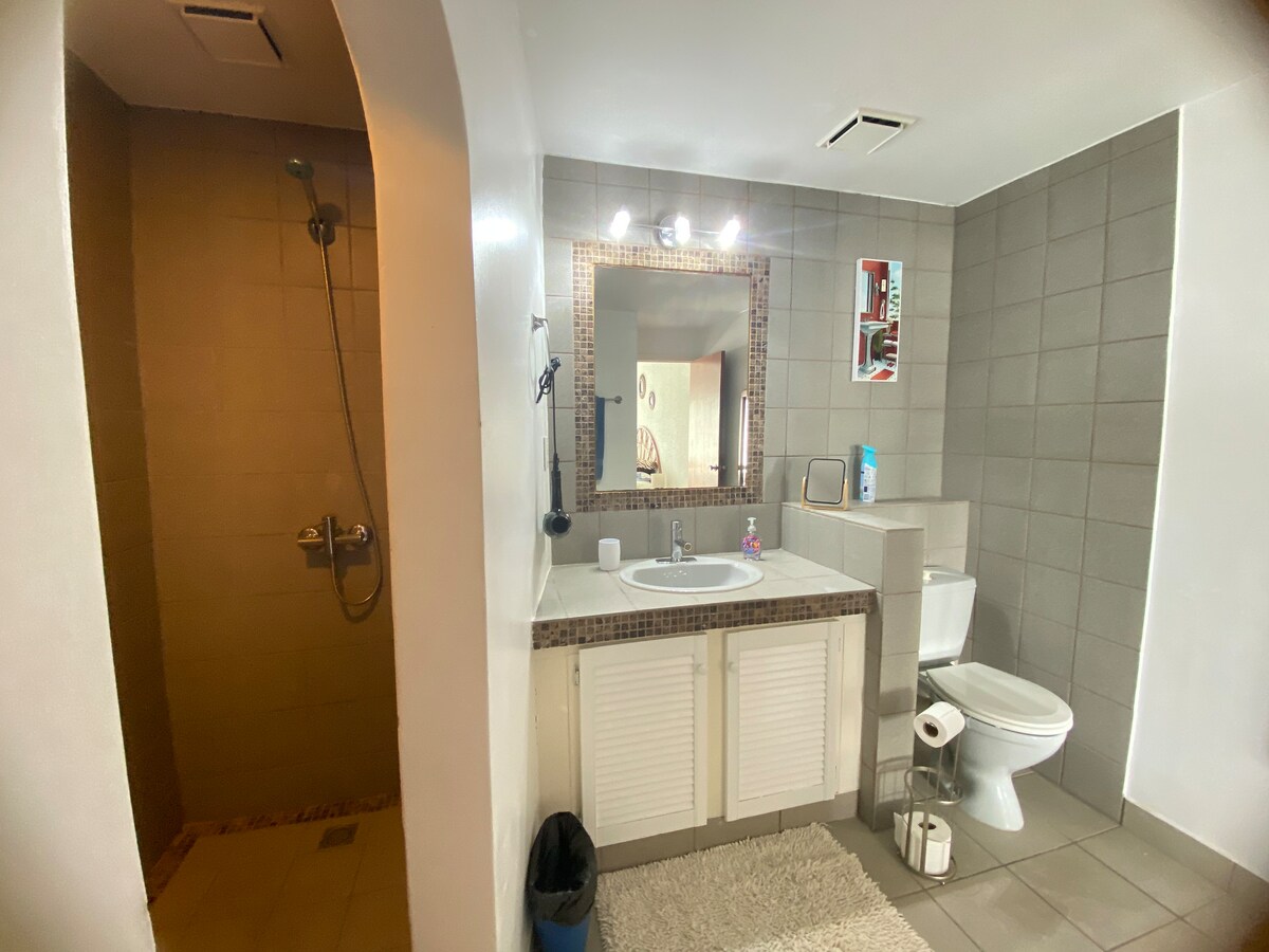 Second bathroom with walk-in shower
