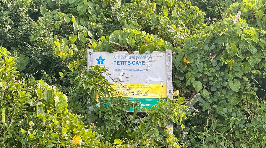 Petites Cayes, a hidden beach in St. Martin