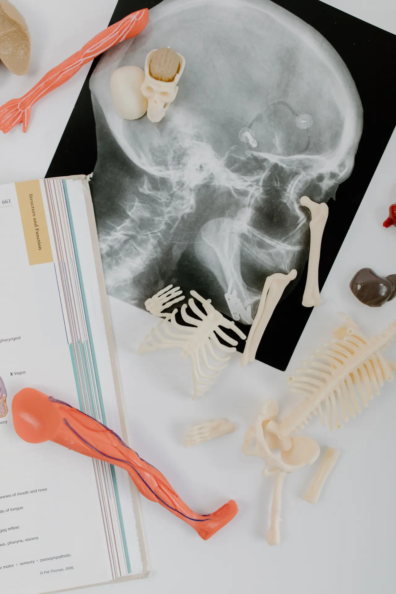 Chronic Disease Exercise Physiology Blacktown (Westpoint)