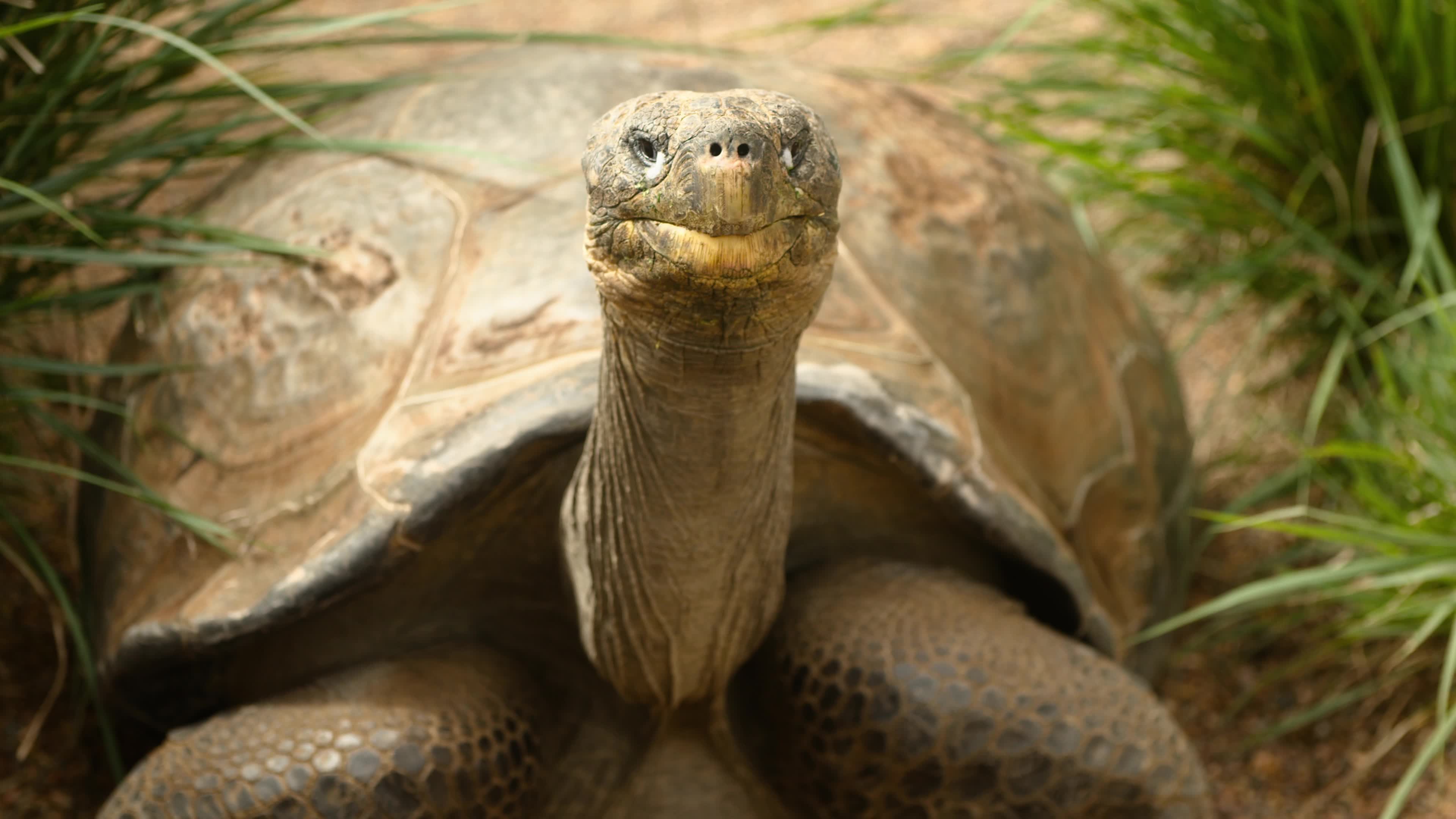 Galápagos Islands VANDEN