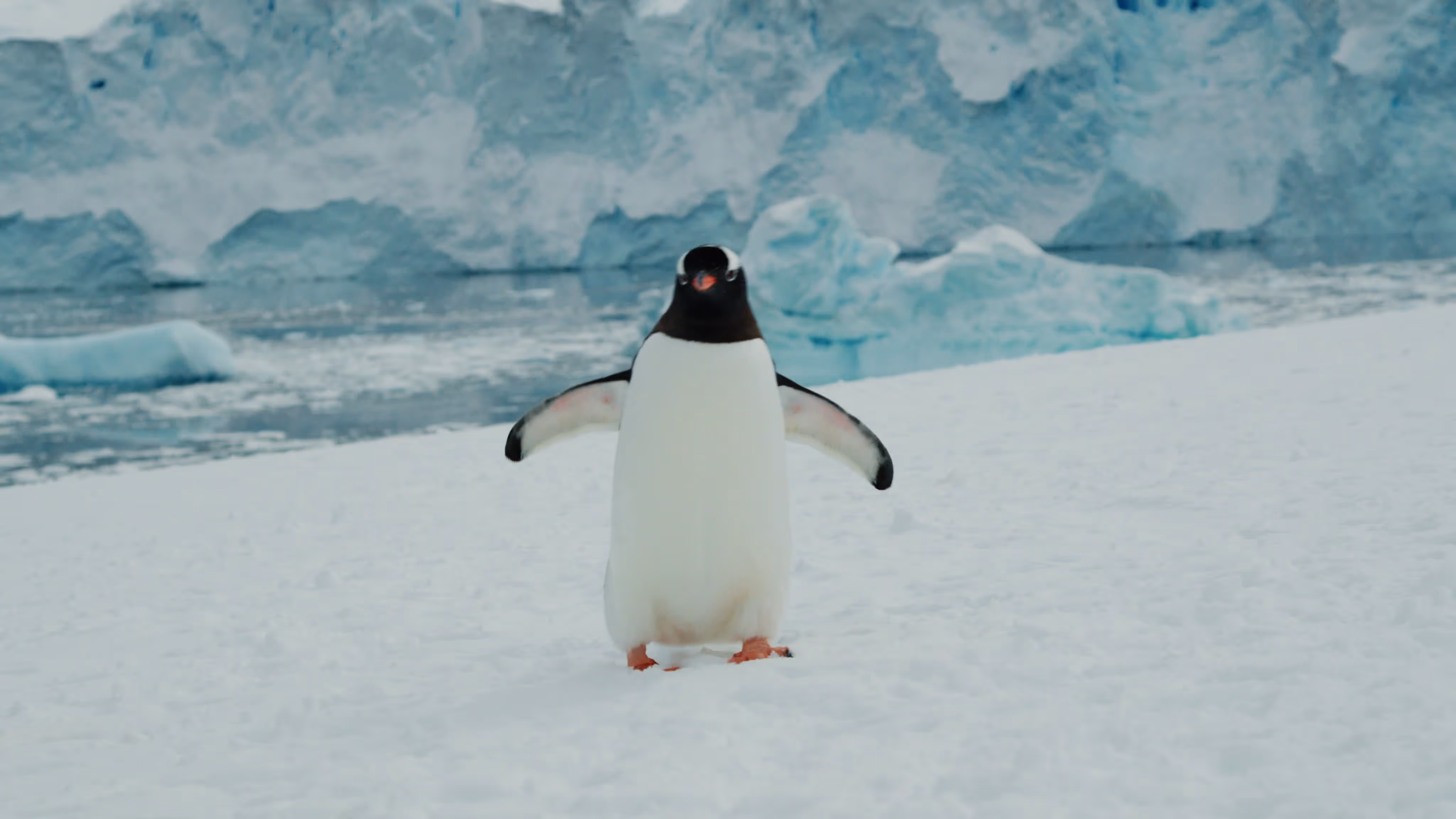 Antarctica VANDEN