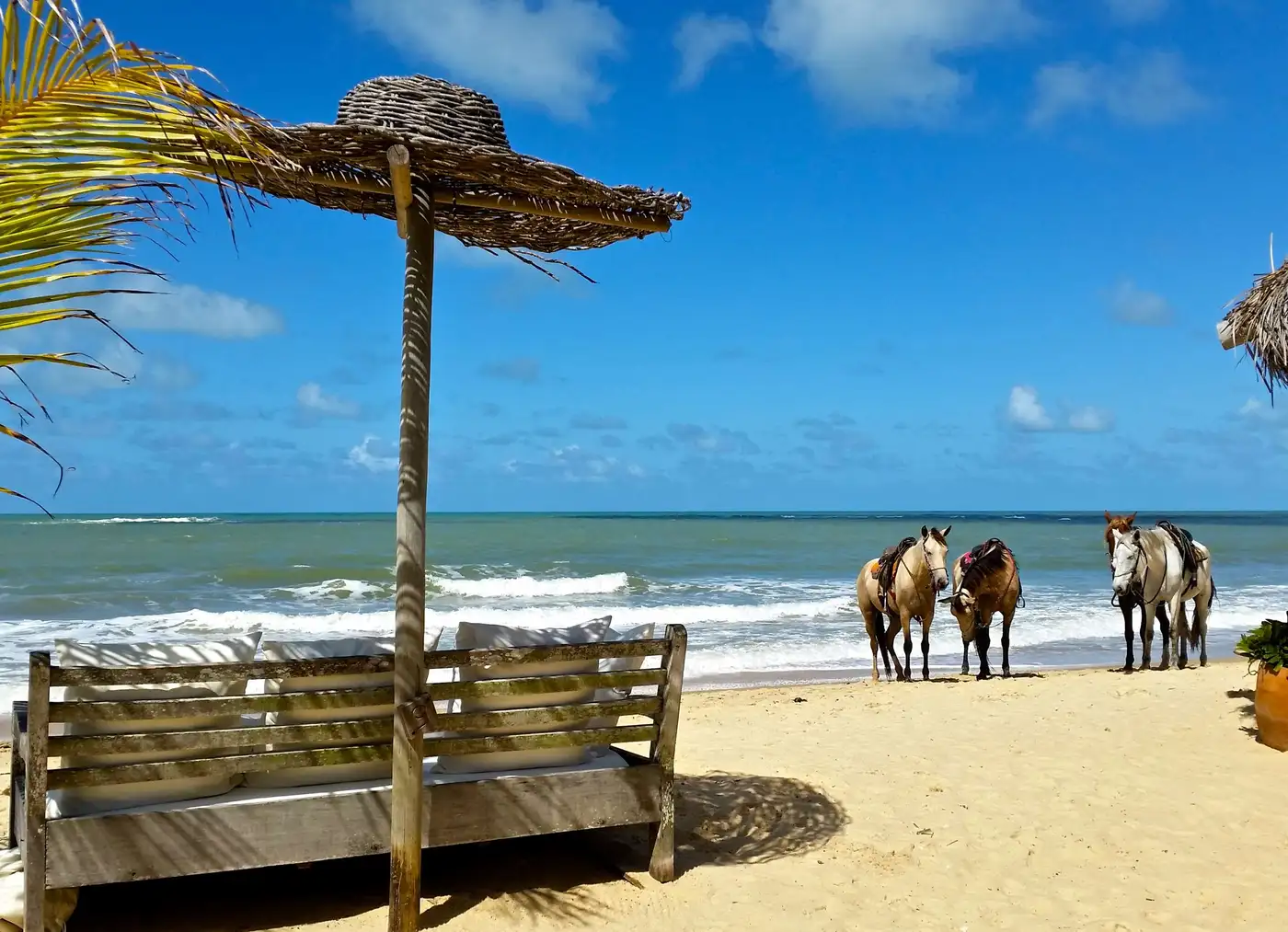 Hotel suite interior