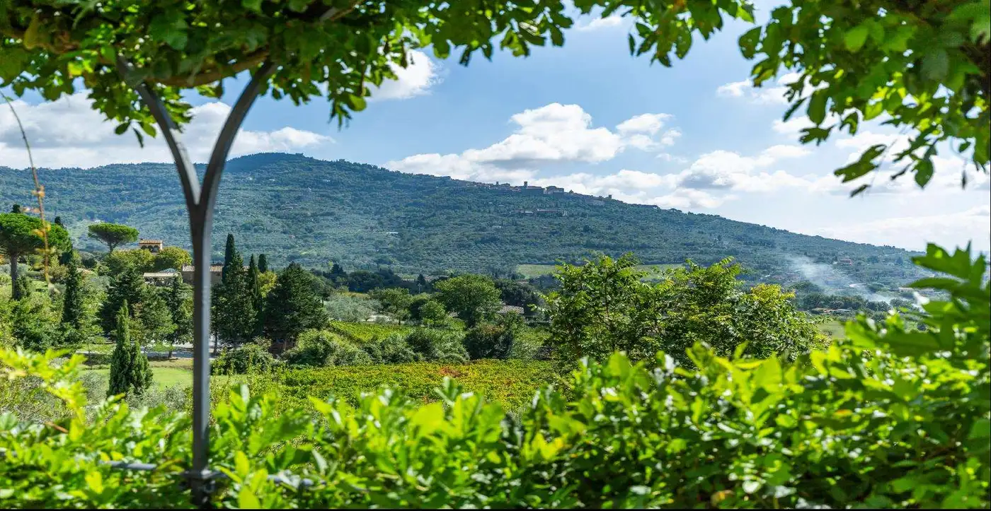 Hotel suite interior