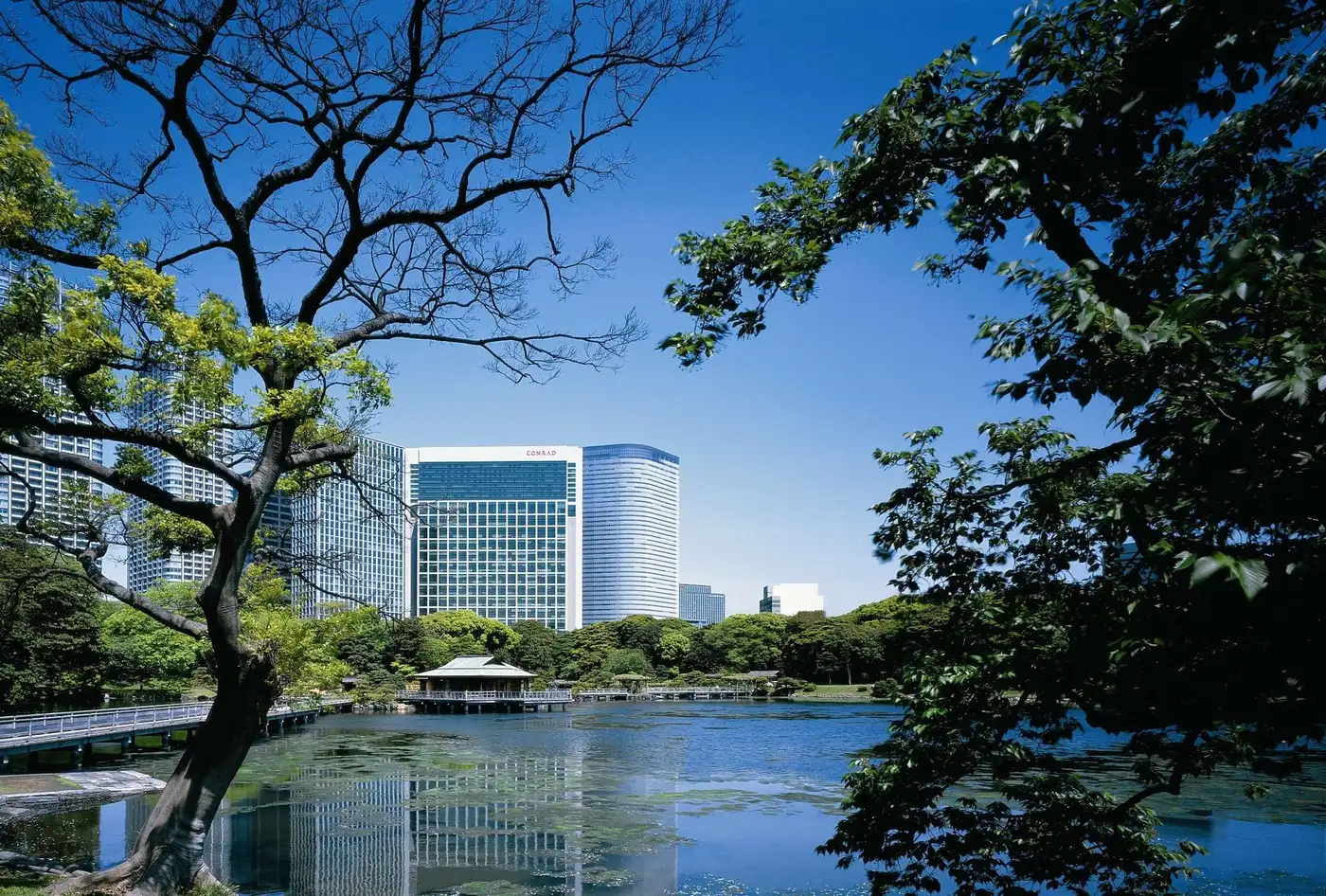 Hotel hero image