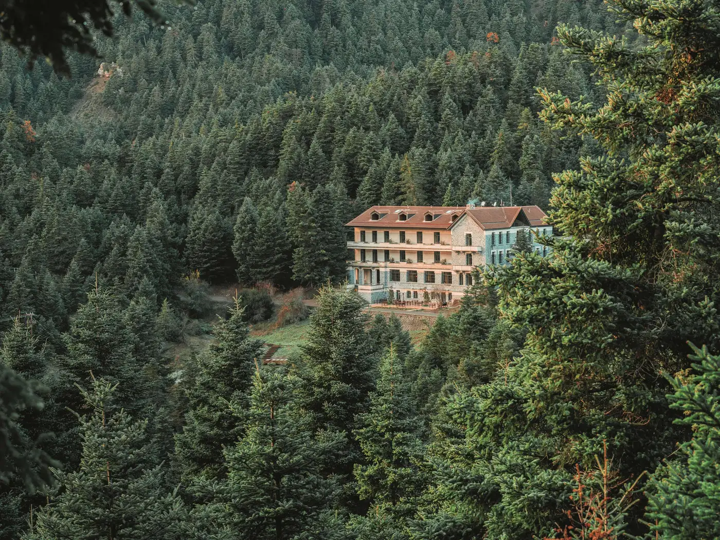 Hotel hero image