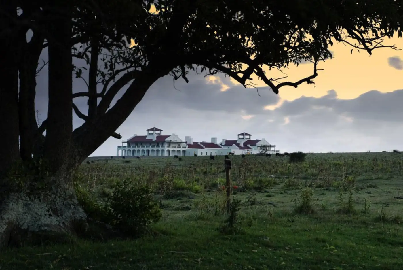 Hotel hero image