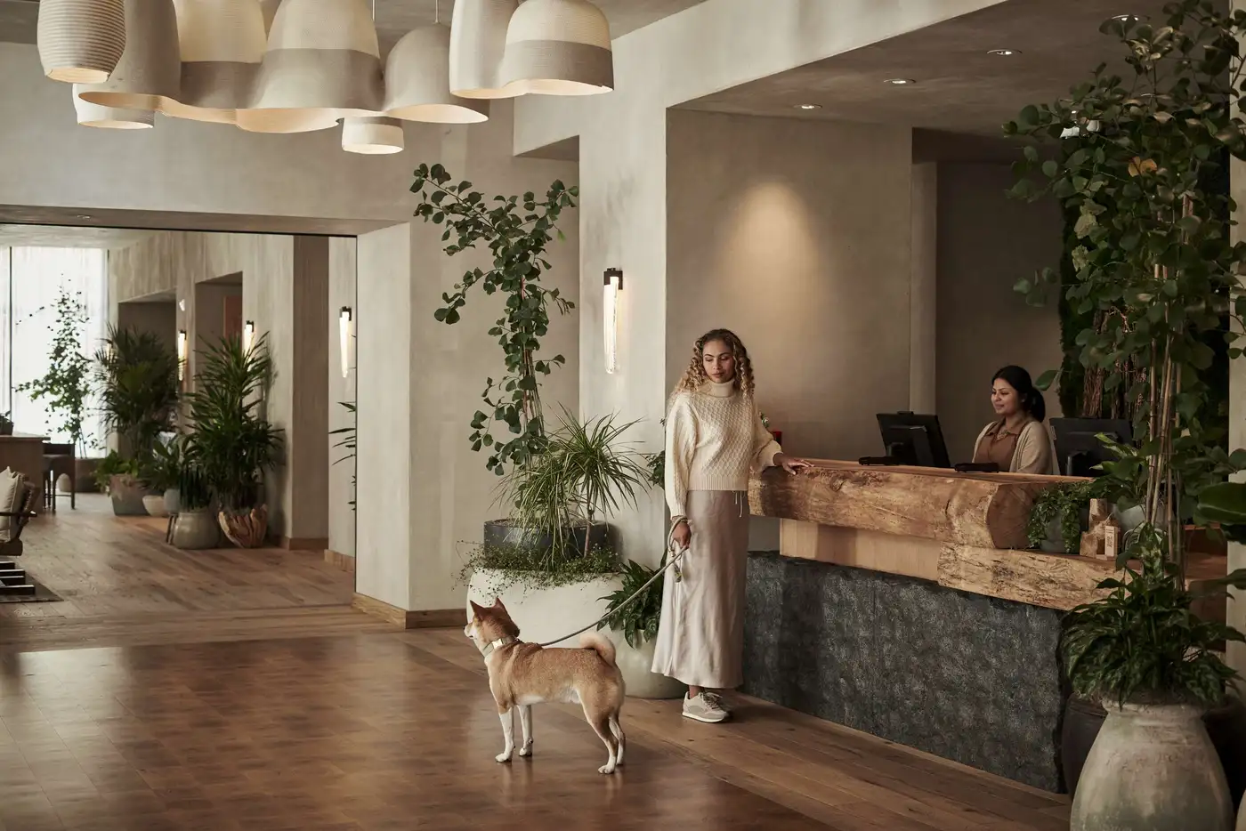 Hotel hero image