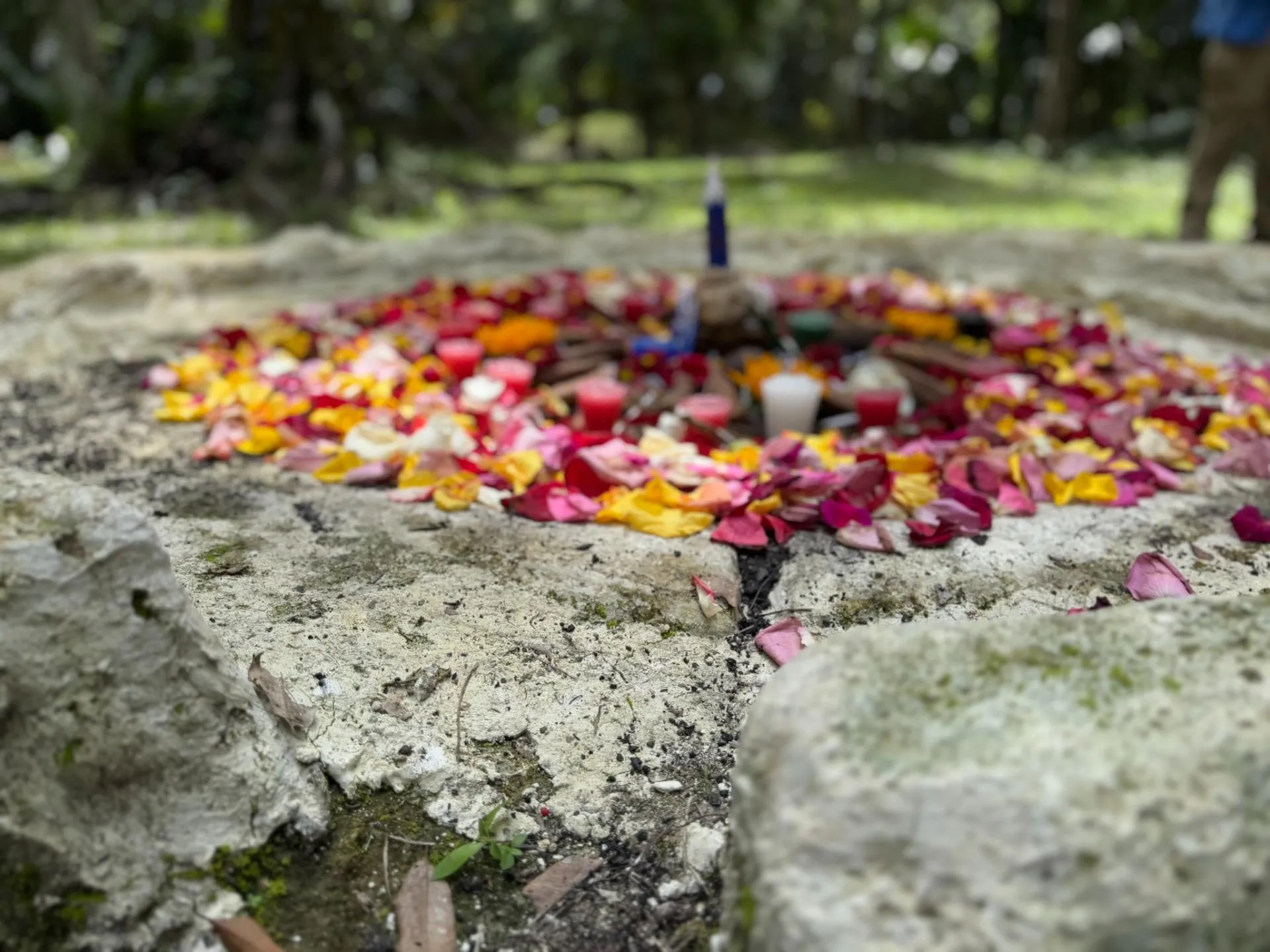 Circular arrangement of colorful flower petals and small candles on a stone surface outdoors.