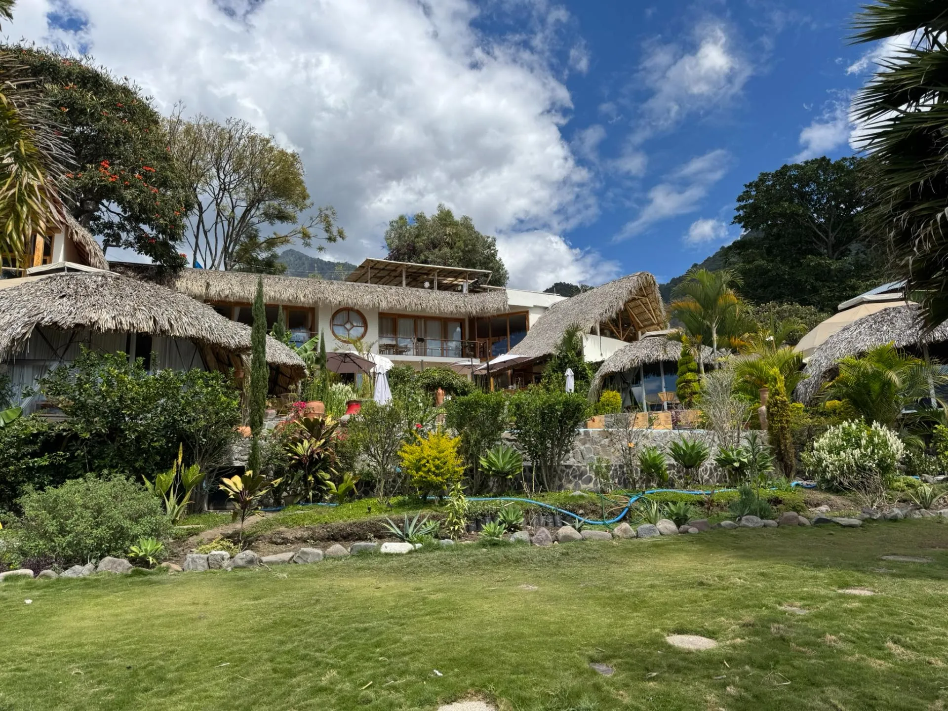 Resort with thatched roofs surrounded by lush greenery and plants under a partly cloudy blue sky.