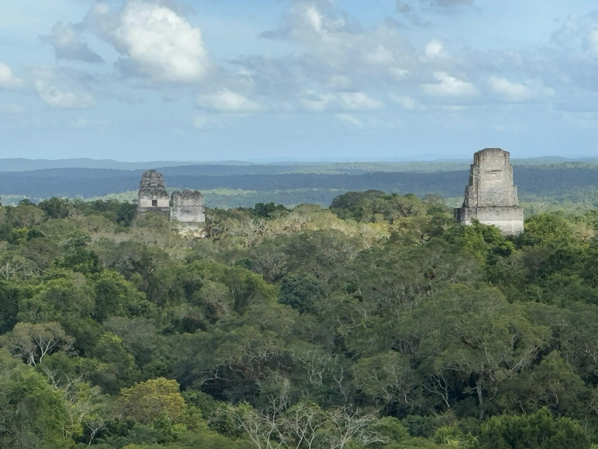 Ancient stone temples rising above dense jungle foliage under a partly cloudy sky.