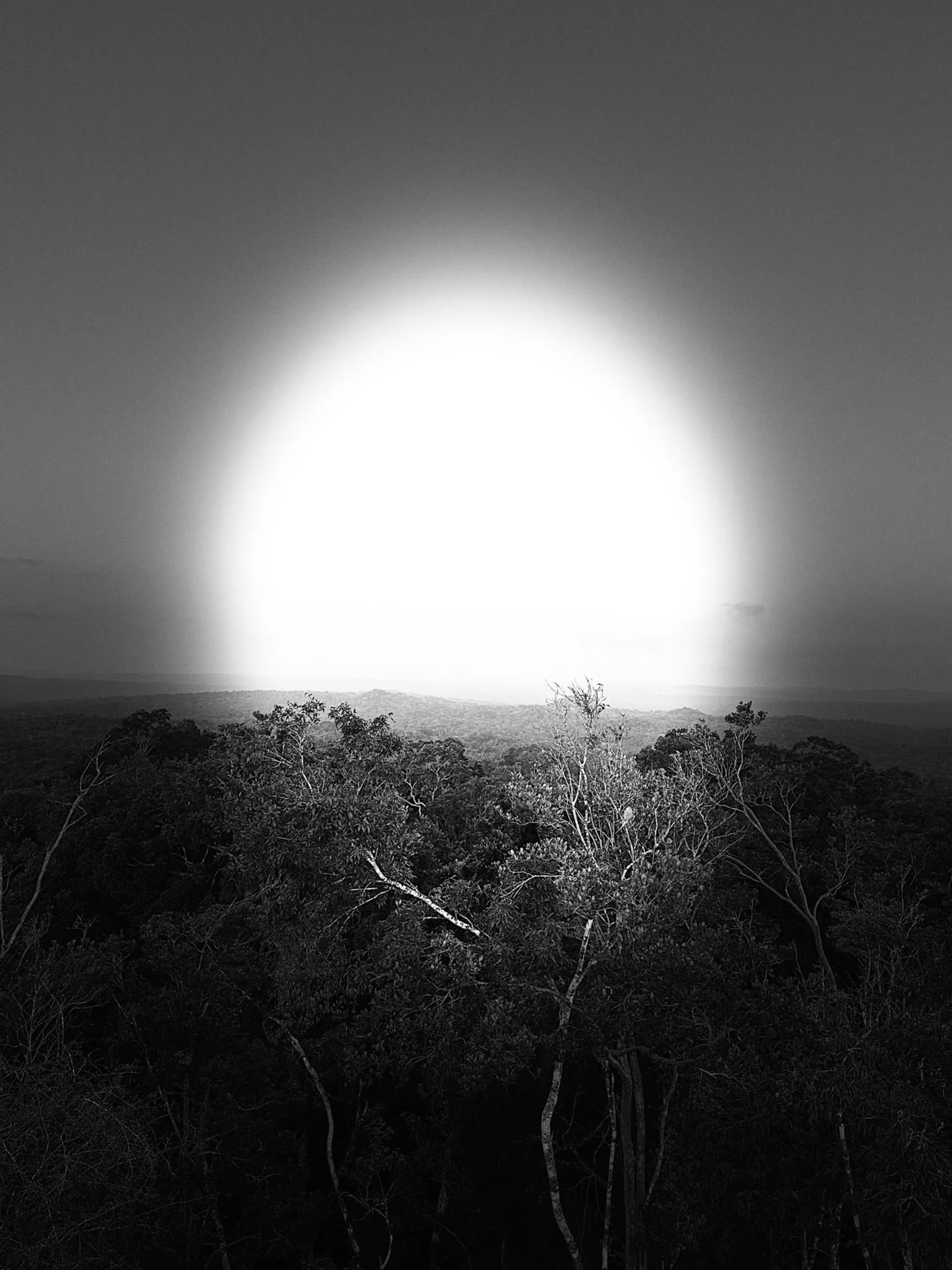 Black and white photo of a bright glowing circle above a dense forest at dusk or dawn.