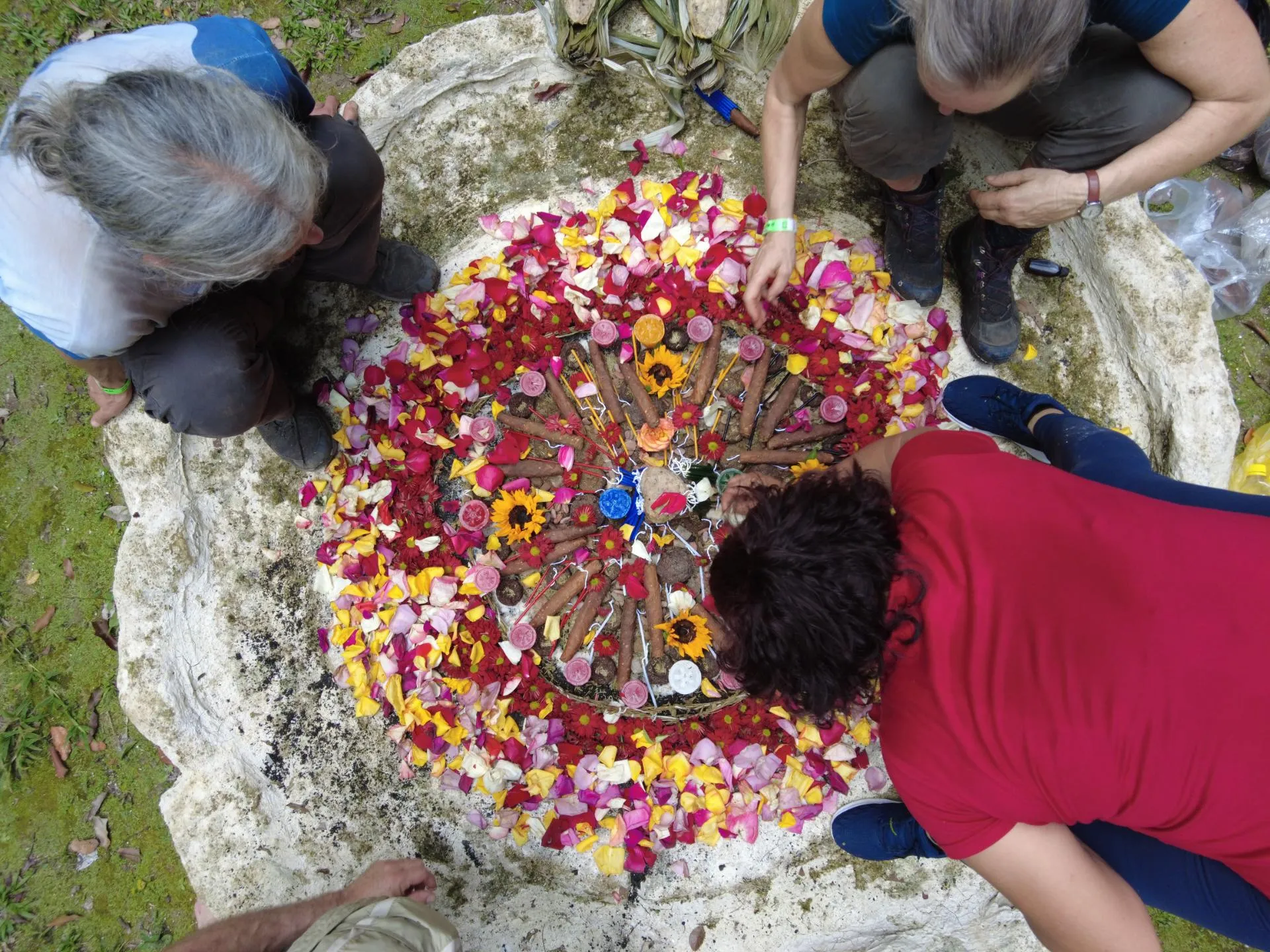 Overhead view of four people arranged around a circular floral mandala with colorful flower petals and natural elements on a stone surface.