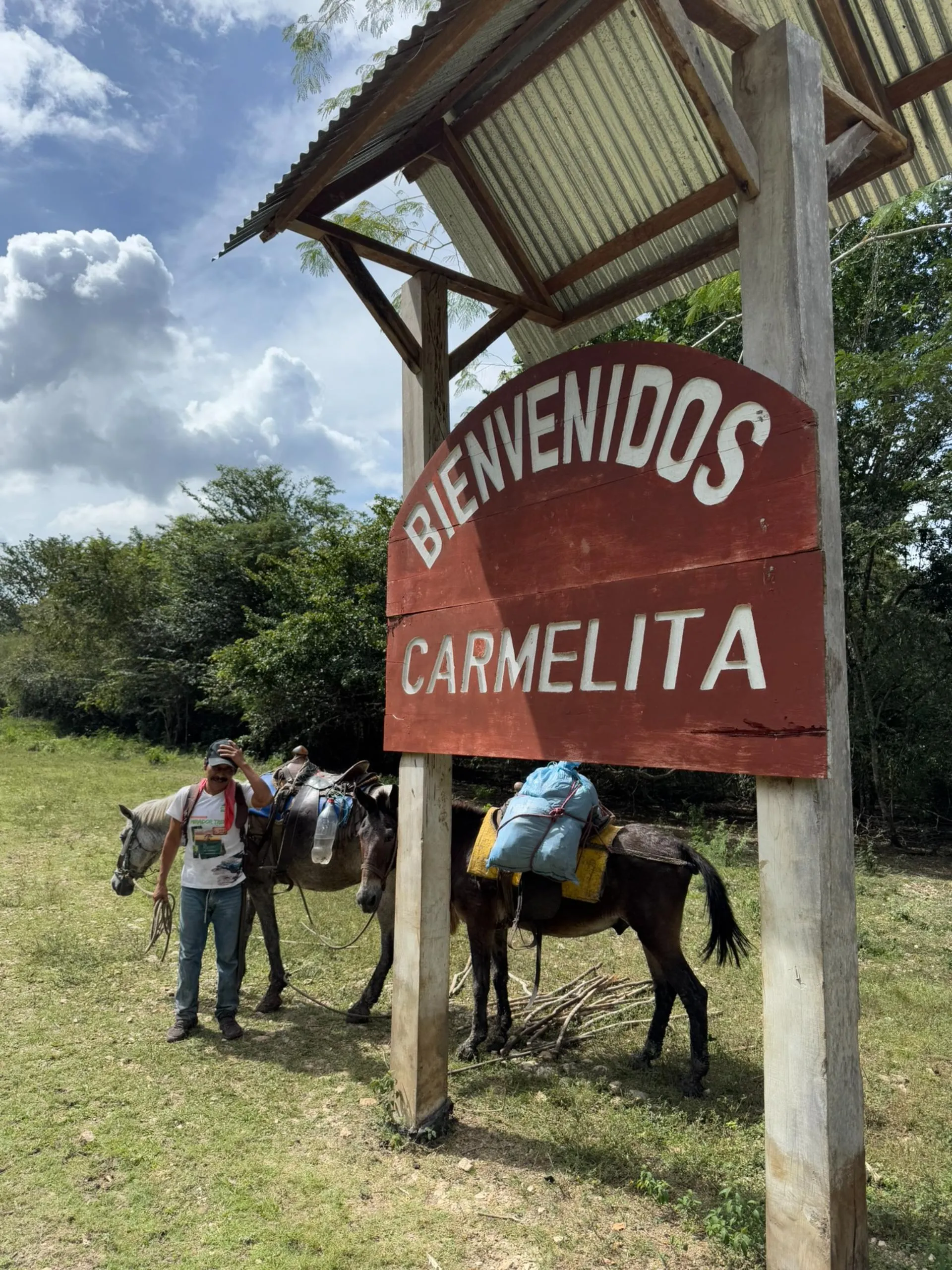 Man standing next to two loaded donkeys under a wooden sign that reads 'Bienvenidos Carmelita' in a grassy rural area.