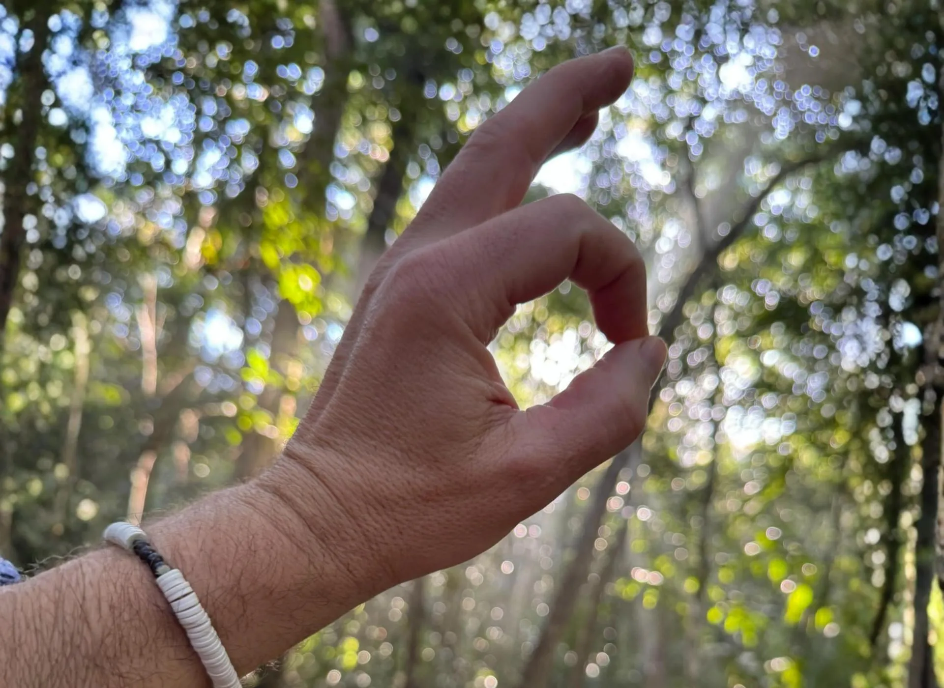 Hand making an OK gesture with blurred sunlit trees in the background.