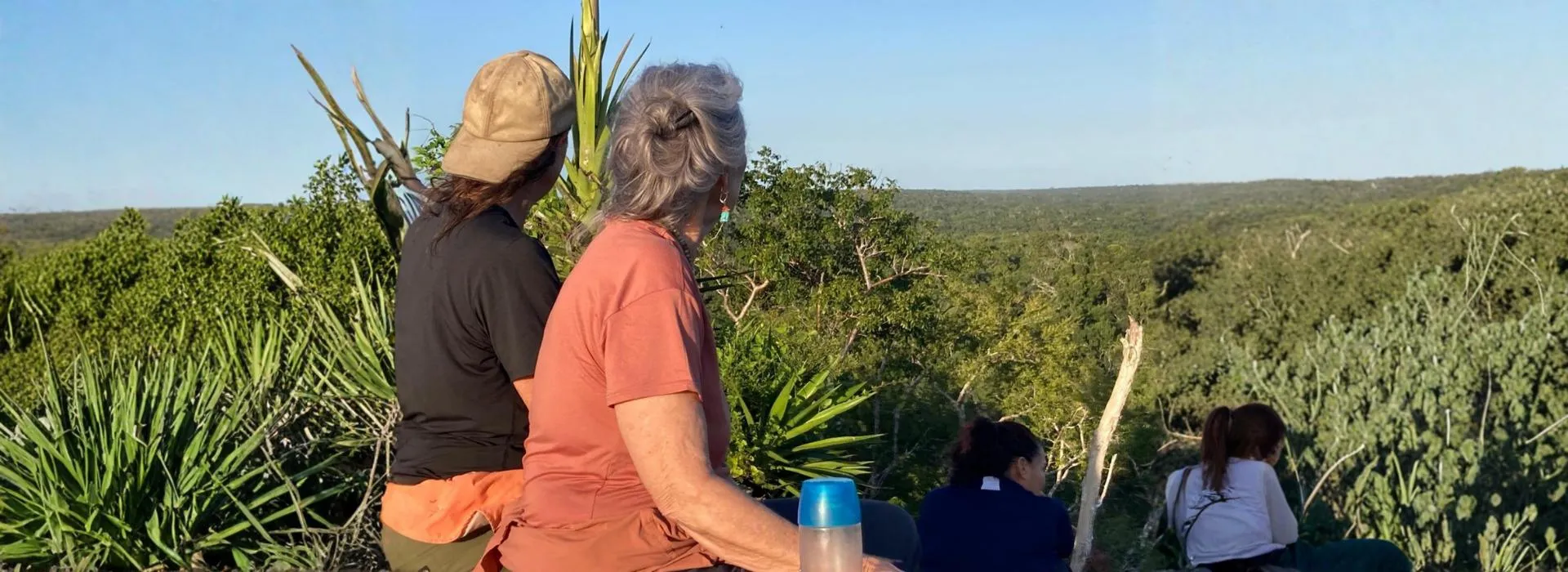 Four people sitting on a hill overlooking a dense green forest under a clear blue sky.