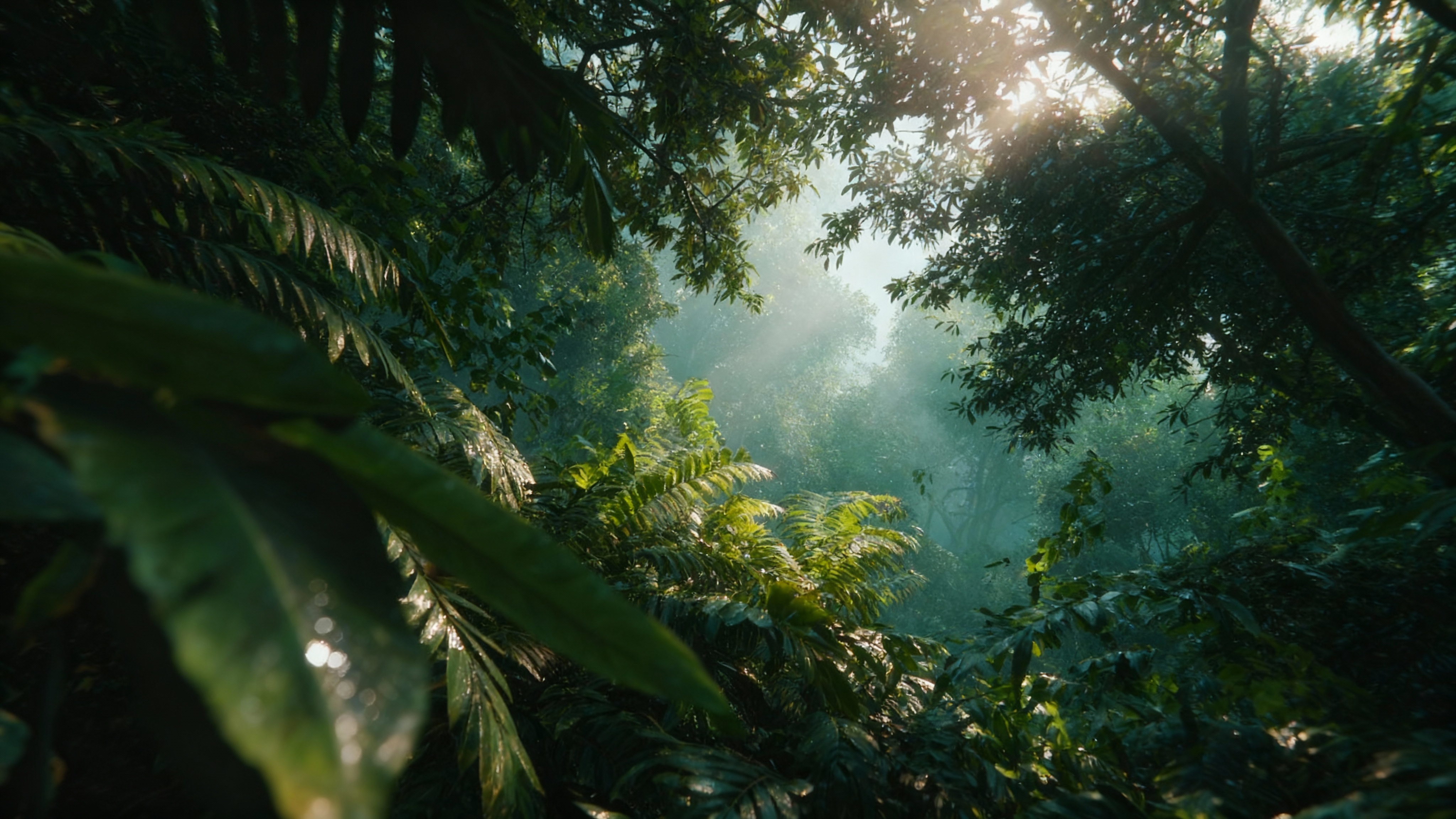 AI Generated Content