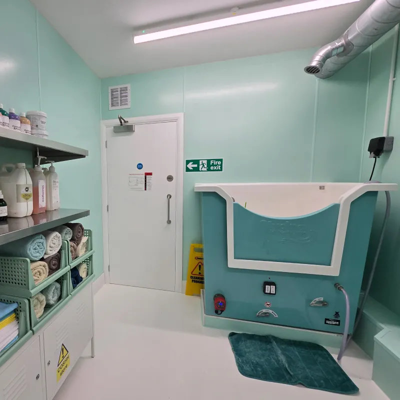 A massaging hydrobath for puppy pampering at CDL.