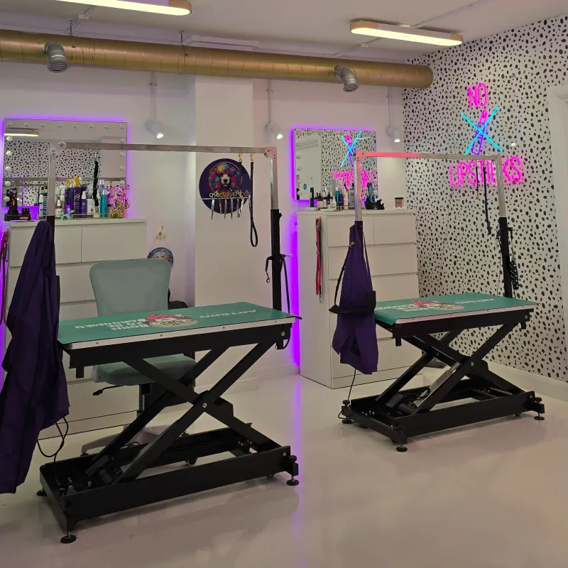 Adjustable tables in the Salon with matting.