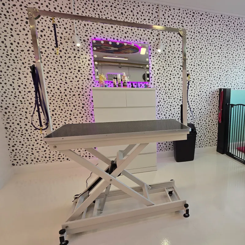 Height adjustable tables in the neon Crazy Dog Ladies salon.