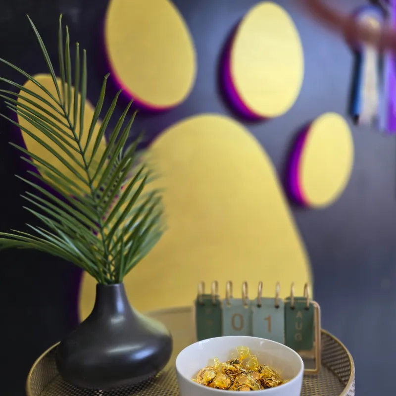 A table with a plant a calendar and some sweets in a bowl with a golden paw in a retro style on the desk behind