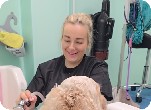 Smiling woman washing a golden retriever's head in a pet grooming salon.