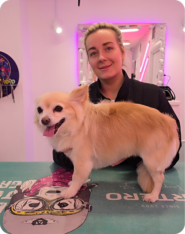 Blonde woman smiling behind a small fluffy dog standing on a table with colorful artwork in a brightly lit room.