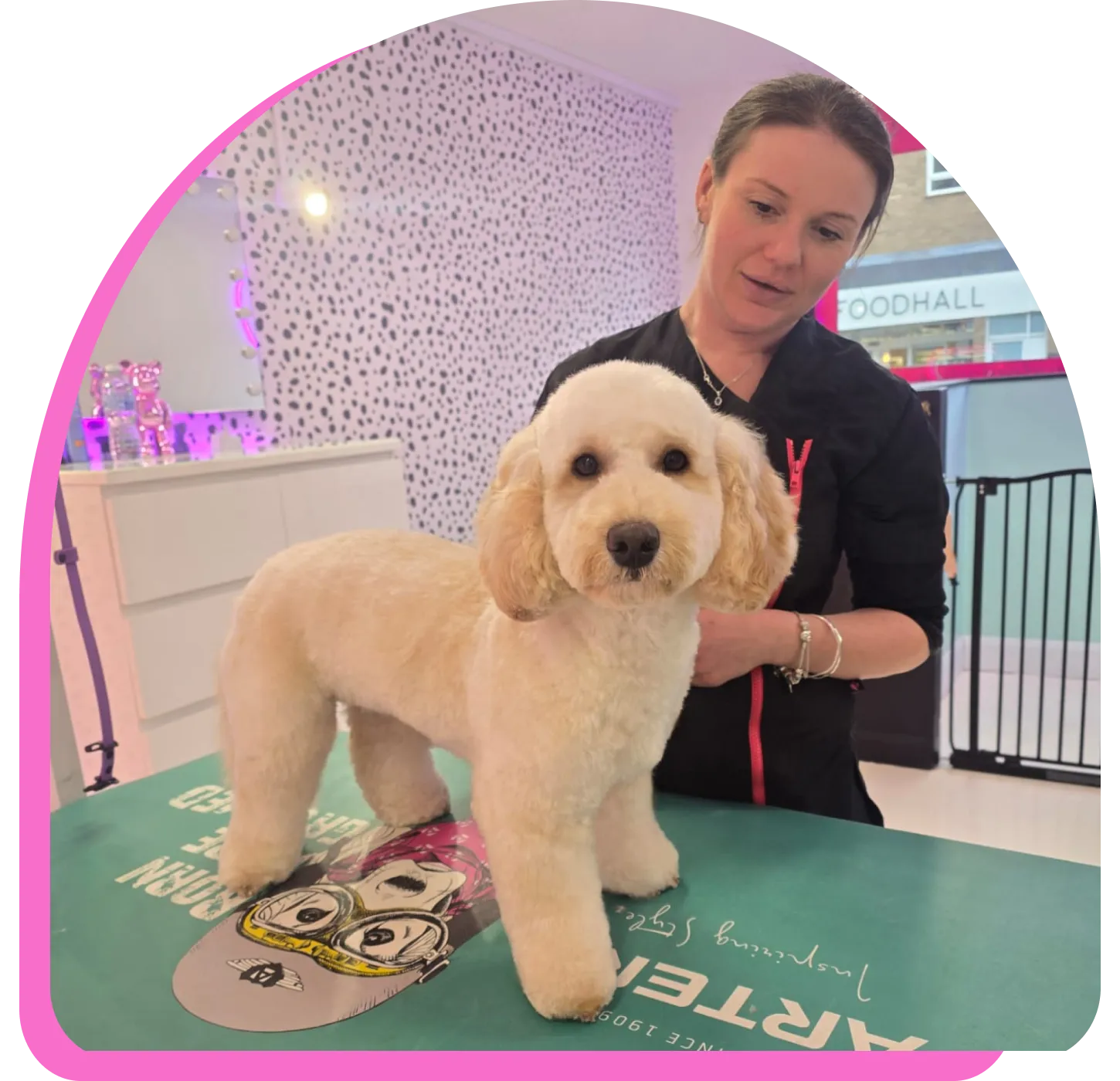 Groomed small cream-colored dog standing on a grooming table with a woman in black attire behind it.
