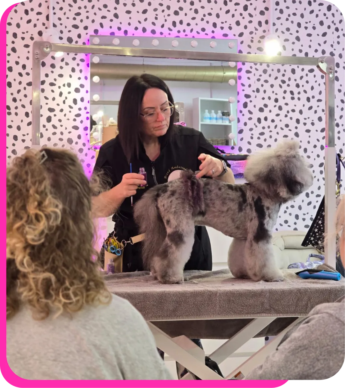 Woman grooming a gray and black poodle on a grooming table, with two people watching.