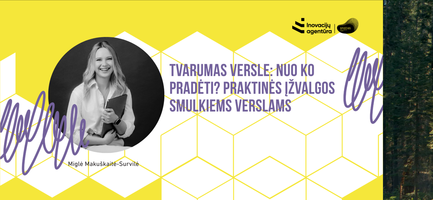 Tvarumas versle