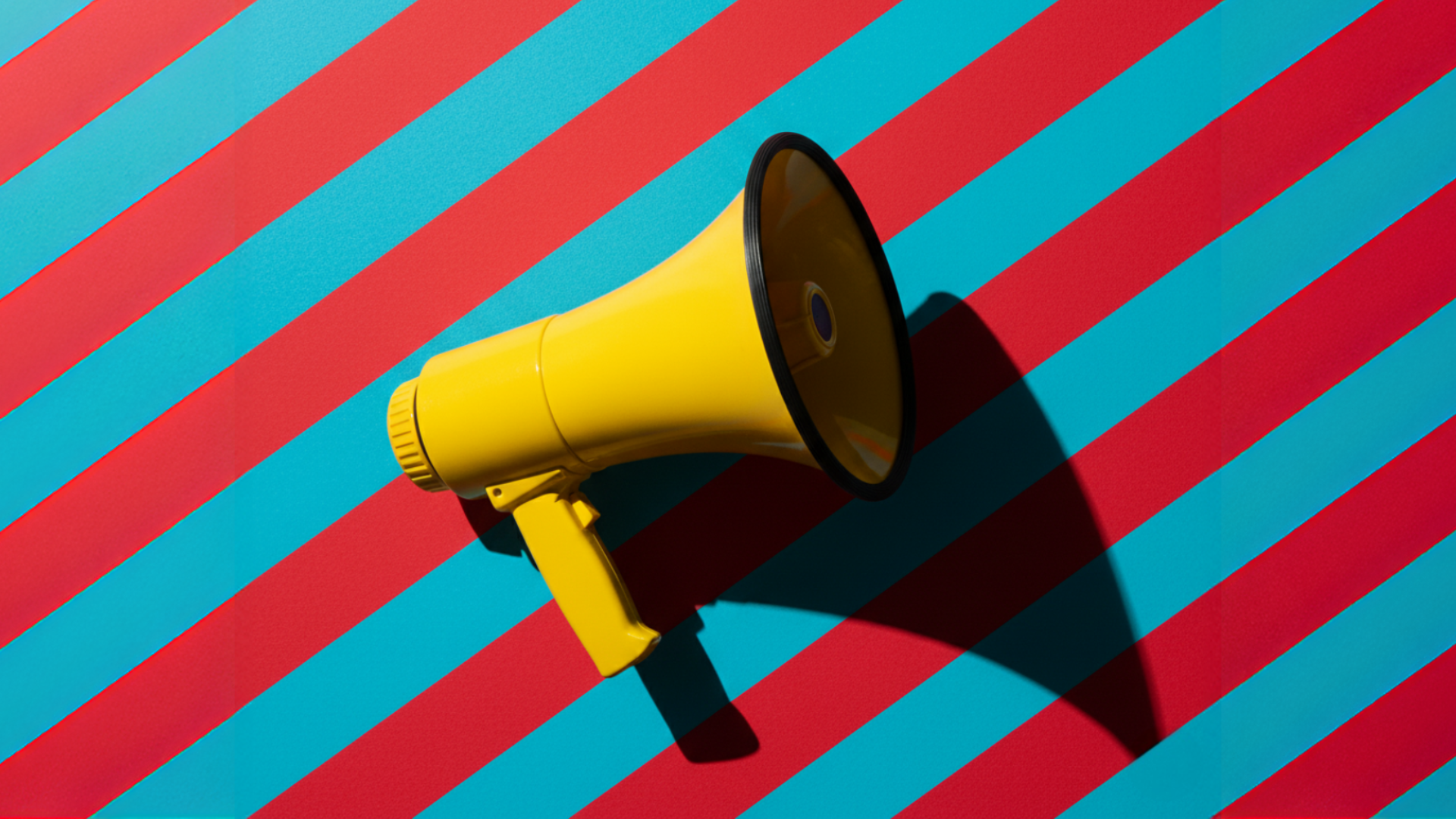 Developing Self-Advocacy Skills in Vulnerable Adults