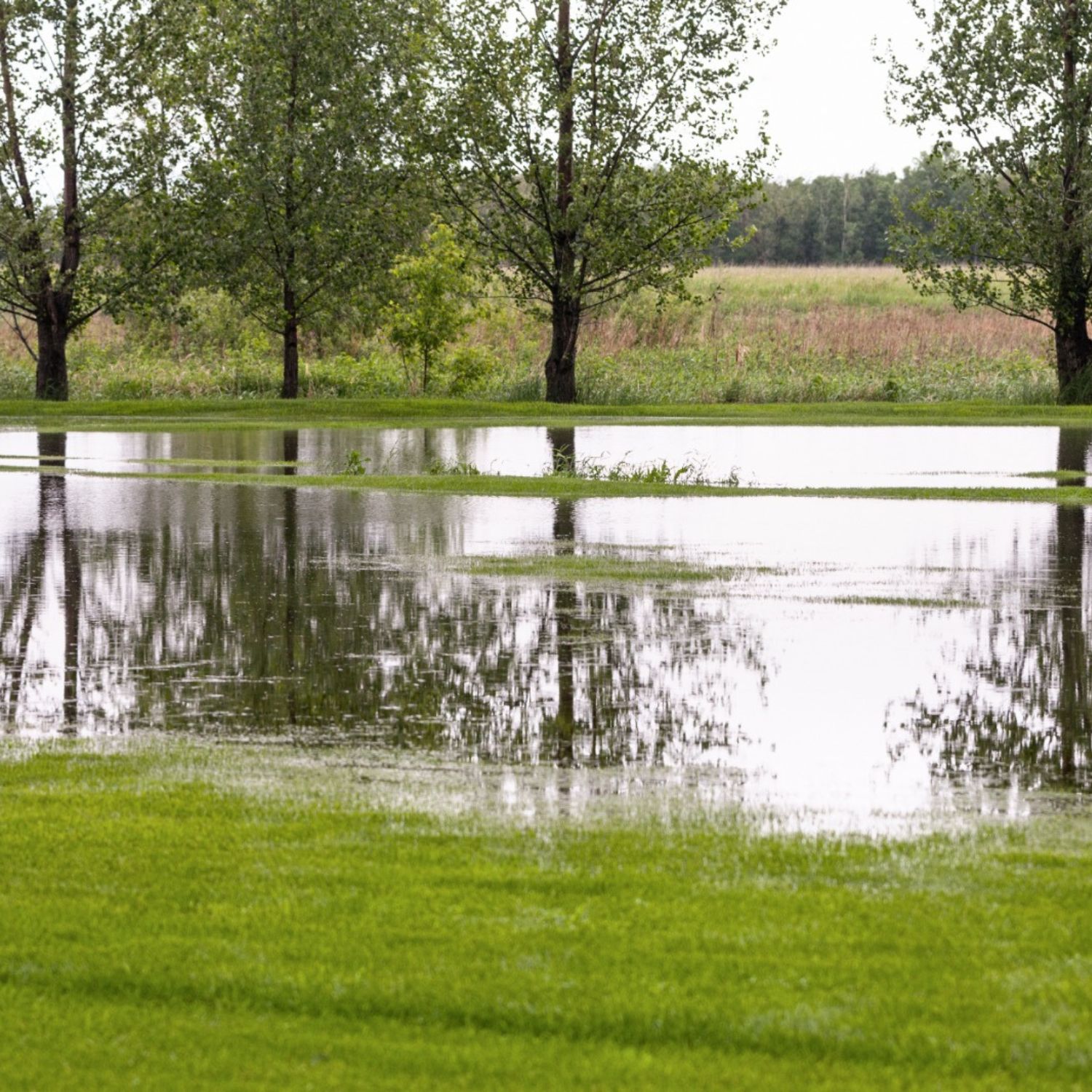 Überwässerung einer Wiese