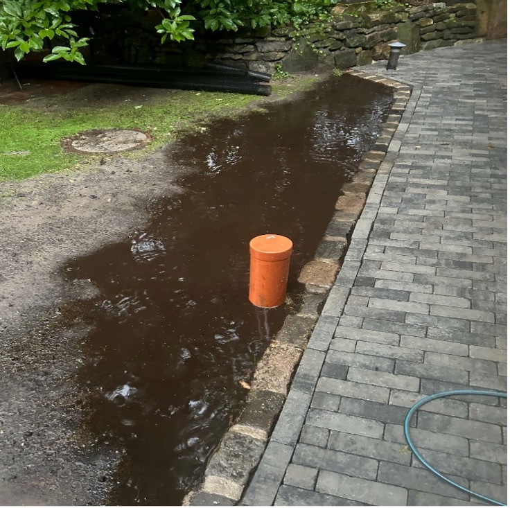 Staunässe neben dem Weg