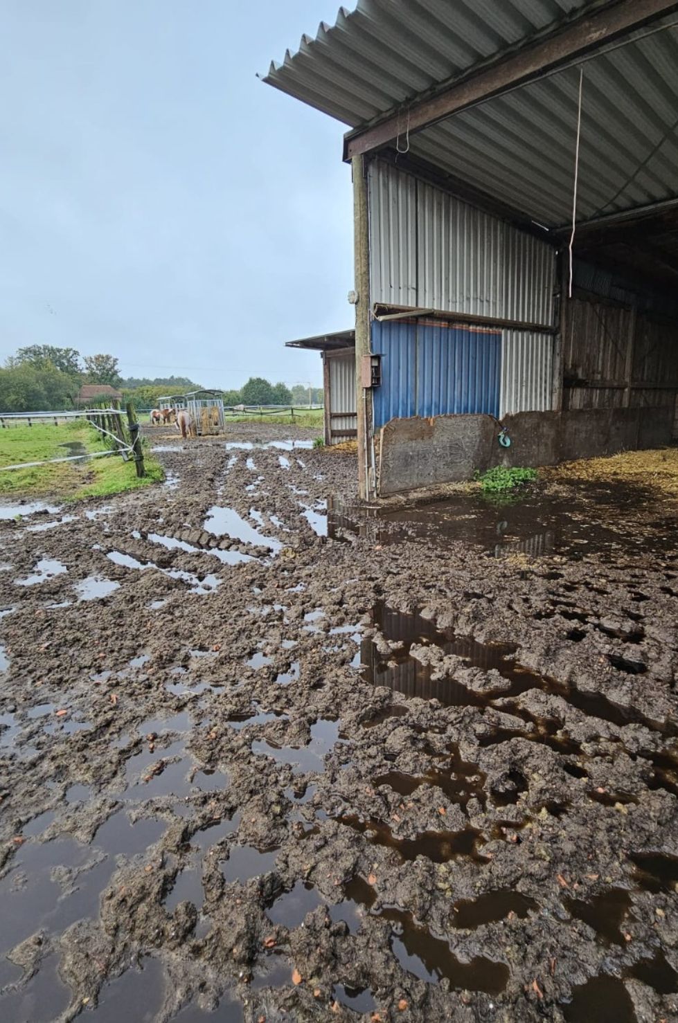 Staunässe vor der Halle