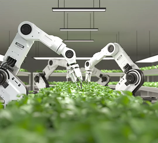 Transformation Strategy