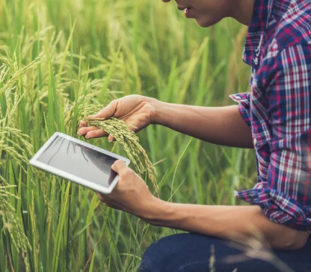 Scalable Multi-Vendor Marketplace Drives Global Retail Expansion